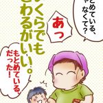 息子が信じている母の部位は