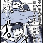 毛布を取られる話と秘密基地に家出する息子(四コマ漫画二本)